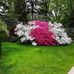 Janice Yost - Facebook