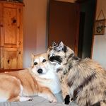 Jan Yount - @yount.jan - Instagram