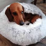 Jan Zelinka - @honza_1236 - Instagram