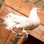 Aman Kumar - @____janzerrr_____088 - Instagram