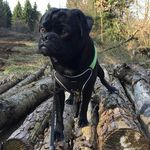 Jan Ziegler - @j_und_a_und_z - Instagram