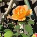 Jan Ziegler - Facebook