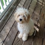 Jana Buckner - @janalbuckner - Instagram