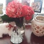 Jana Byrd - @jana.byrd.2057 - Instagram