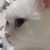 Jana_cloud - @user9790251712413 - TikTok