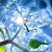 Jana Collier - Facebook
