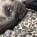 Jana Denton - Facebook