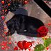 Jana Dick - Facebook