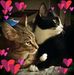 Jana Ellis - Facebook