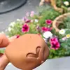 jana - @jana.fisher - TikTok