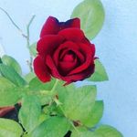 Jana - @jana_fish_ - Instagram