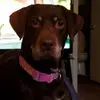 janaleegentry - @janaleegentry - TikTok