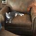 Jana Grant - Facebook