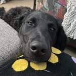 Jana Greer - @janaglibro48 - Instagram