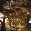 Hama Dejana - @hama.dejana - TikTok