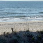 Jana Herbert - @ca2lkn - Instagram