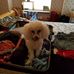 Jana Hess - Facebook
