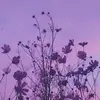 janajacobss - @janajacobss - TikTok