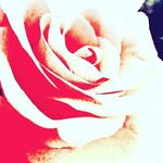 Jana Kaiser - @potens_in_cantate_ - Instagram