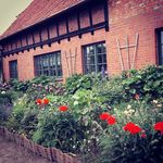 Jana Lenz - @pauliflo3 - Instagram