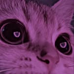 jana - @janal_uft - Instagram
