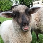 Jana luft - @luft511 - Instagram