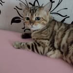 Jana Luft - @luft4297 - Instagram