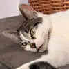 Marcus Jana Schulze - @marcusjanaschulze - TikTok
