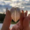JanaMarsh - @happy.travellerz - TikTok