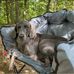 Jana Buch McCoy - Facebook