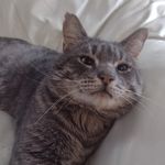 Jana Lee McGee - @jbronc333 - Instagram