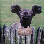 Jana Moß - @ja_na_moss - Instagram