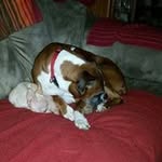 Jana Richeson-Noel - @richesonnoel - Instagram