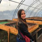 @jana.pfeifer.3729 - Instagram