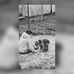 Jana Michelle Pfeifer - Facebook