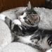 Jana Probst - Facebook