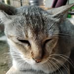 Janaring Haflongbar - @janaringhaflongbar - Instagram