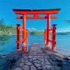 Japanaround 👣 - @japanaround1 - TikTok