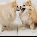 Jaanaa & Snow - @miss.jana_mr.snow - Instagram