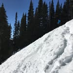 Jana Springfield - @jana.spring.snow - Instagram