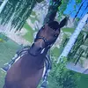 •☆jana☆• - @jana._.stonestar - TikTok