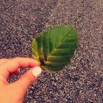 Jana Stone - @janasphotography102.0 - Instagram