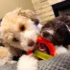 Winnie&Jana - @winnieandjana - TikTok