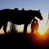 DumasFarm - @janawright1 - TikTok