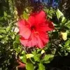 jana_wright1 - @jana_wright1 - TikTok