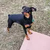 Jana Wright - @nanajanakay - TikTok