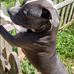 Jeanne Hatfield - Facebook