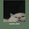 janaylee - @janaylee2002 - TikTok