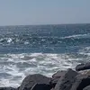 Janaya Johnson - @janaya.johnson4 - TikTok