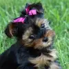 Janaye Johnson - @janaye.johnson7 - TikTok